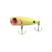 Sea Horse Bobby Kanky 40mm 3 Gr Beast Bone - 1