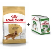 Royal Canin Cocker Yetişkin Köpek Maması 3 kg + 12 Adet Yaş Mama - 1