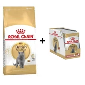 Royal Canin British Shorthair Yetişkin Kedi Maması 4 kg + 12 Adet Yaş Mama - 1