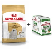 Royal Canin Maltese Bichon Yetişkin Köpek Maması 1,5 kg + 12 Adet Yaş Mama - 1