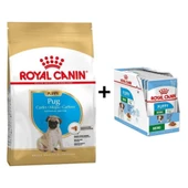 Royal Canin Pug Junior Yavru Köpek Maması 1,5 kg + 12 Adet Yaş Mama - 1