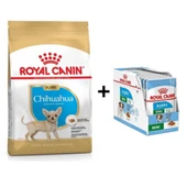 Royal Canin Chihuahua Junior Yavru Köpek Maması 1,5 kg + 12 Adet Yaş Mama - 1