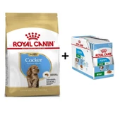 Royal Canin Cocker Junior Yavru Köpek Maması 3 kg + 12 Adet Yaş Mama - 1