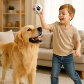 3'lü Köpek Oyuncak Top Seti - 6.5 cm Renkli Tenis Topları Küçük ve Orta Irk İçin Diş Dostu, Zıplayan - 8