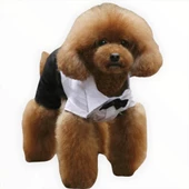 Tuxedo Smokin Köpek Kıyafeti Damatlık - 4