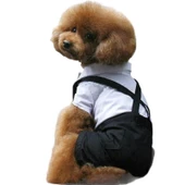 Tuxedo Smokin Köpek Kıyafeti Damatlık - 1