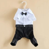 Tuxedo Smokin Kedi Kıyafeti Damatlık - 7