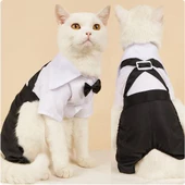 Tuxedo Smokin Kedi Kıyafeti Damatlık - 1