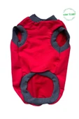 Pembe Ayıcık Aksesuarlı Kırmızı Kedi Köpek Kıyafeti Elbisesi Large/L/Beden 3 - 4