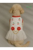 Şirin Kiraz Desenli Gül Aksesuarlı Kedi Köpek Kıyafeti Elbisesi XLARGE/XL/Beden 4 - 2