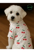 Kiraz Desenli Kırmızı Kurdeleli Gömlek Kedi Köpek Kıyafeti Elbisesi XLARGE/XL/Beden 4 - 2