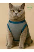 Sevimli Yeşil Ayıcık Aksesuarlı Gri Kedi Köpek Kıyafeti Elbisesi XXLarge/XXL/Beden 5 - 1