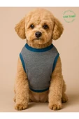 Sevimli Yeşil Ayıcık Aksesuarlı Gri Kedi Köpek Kıyafeti Elbisesi XXLarge/XXL/Beden 5 - 2