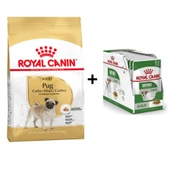 Royal Canin Pug Irkı Özel Köpek Maması 1,5 kg + 12 Adet Yaş Mama - 1