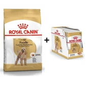 Royal Canin Poodle Adult Köpek Maması 3 Kg + 12 Adet Yaş Mama - 1