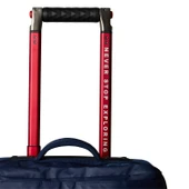 The North Face BASE CAMP VOYAGER 21 ROLLER Seyahat Çantası NF0A52UD9261 - 6
