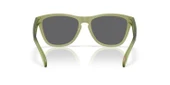 Oakley FROGSKINS Unisex Gözlük 0OO9013-OAK.M2 thumbnail 7