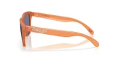 Oakley FROGSKINS Unisex Gözlük 0OO9013-OAK.M1 - 10