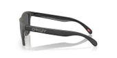 Oakley FROGSKINS Unisex Gözlük 0OO9013-OAK.M0 thumbnail 10