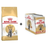 Royal Canin British Shorthair Yetişkin Kedi Maması 10 kg + 12 Adet Royal Canin British Shorthair Yaş Kedi Maması 85 Gr - 1