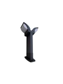 DORTMUND thumbnail 1