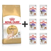 Royal Canin Sphynx Yetişkin Kedi Maması 2 kg + 6 Adet Yaş Mama - 1
