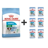 Royal Canin Mini Puppy Yavru Köpek Maması 2 kg + 6 Adet Yaş Mama - 1