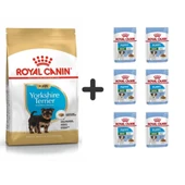 Royal Canin Yorkshire Terrier Yavru köpek Maması 1,5 kg + 6 Adet Yaş Mama - 1
