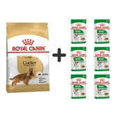 Royal Canin Cocker Yetişkin Köpek Maması 3 kg + 6 Adet Yaş Mama - 1