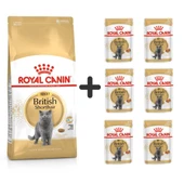 Royal Canin British Shorthair Yetişkin Kedi Maması 2 kg + 6 Adet Yaş Mama - 1