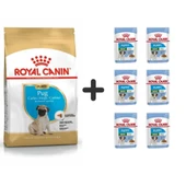 Royal Canin Pug Junior Yavru Köpek Maması 1,5 kg + 6 Adet Yaş Mama - 1
