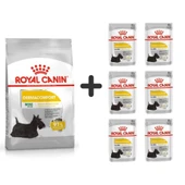 Royal Canin Mini Dermacomfort Yetişkin Köpek Maması 3 Kg + 6 Adet Yaş Mama - 1