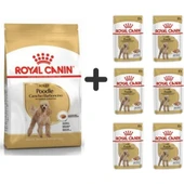 Royal Canin Poodle Adult Köpek Maması 3 Kg + 6 Adet Yaş Mama - 1