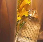 Chloe Love Story EDP 75 ml Kadın Parfüm - 3