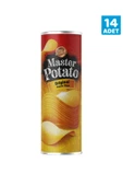 Gold Harvest Master Potato Original Cips 160g 14 Adet - 1
