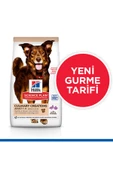 Hill's Culinary Creations Ördek Etli ve Patatesli 14 kg Yetişkin Köpek Maması - 2
