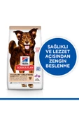 Hill's Culinary Creations Ördek Etli ve Patatesli 14 kg Yetişkin Köpek Maması - 3