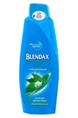BLENDAX SAÇ DÖKÜLMELERİNE KARŞI ISIRGAN ÖZLÜ ŞAMPUAN 500 ML - 1