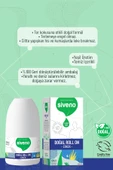 Siveno Roll On Erkek Deodorant Ter Kokusu Önleyici Bitkisel Leke Bırakmayan Vegan 50 ml - 4