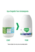 Siveno Roll On Erkek Deodorant Ter Kokusu Önleyici Bitkisel Leke Bırakmayan Vegan 50 ml - 7