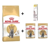 Royal Canin British Shorthair Yetişkin Kedi Maması 4 kg +2 Adet RC Yaş Mama 85 Gr + 20 gr GimCat Malt - 1