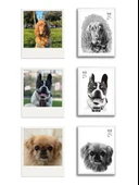 Evcil Dostunuza Özel Karakalem Çizim Dijital Çerçeveli Kedi Köpek - 1