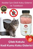 Çok Amaçlı Çilek Kokulu Deodorant Evcil Hayvan Kedi Kumu Koku Giderici Sülfat Epsom Tuzu 350 Gr - 1
