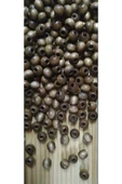 Ahşap Boncuk 10 Mm 100 Gr ( Ort  ± 250 - 300 Adet) Sütlü Kahve - 1