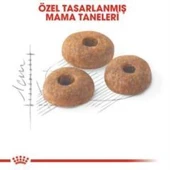 Royal Canin Fit 32  Kuru Kedi Maması 2 Kg + 2 Adet Yaş Mama Hediye - 3
