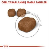 Royal Canin Oral Care Kedi Maması 1,5 Kg + 2 Adet Yaş Mama Hediye - 2