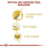 Royal Canin Sphynx Yetişkin Kedi Maması 2 kg + 2 Adet Yaş Mama Hediye thumbnail 5