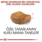 Royal Canin British Shorthair Yetişkin Kedi Maması 2 kg + 2 Adet Yaş Mama Hediye - 3
