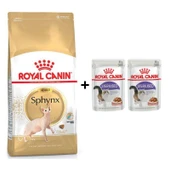 Royal Canin Sphynx Yetişkin Kedi Maması 2 kg + 2 Adet Yaş Mama Hediye thumbnail 1