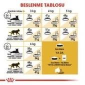 Royal Canin Siamese Yetişkin Kedi Maması 2 kg + 2 Adet Yaş Mama Hediye - 6